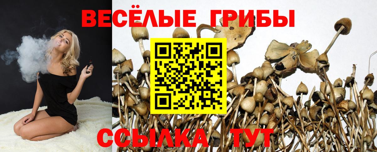Галлюциногенные грибы MAGIC MUSHROOMS  Вход с VPN  где купить   Елец 